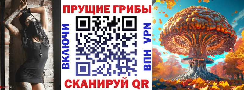 Галлюциногенные грибы Psilocybe  закладки  Ивантеевка 