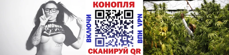 OMG зеркало  Ивантеевка  Конопля THC 21% 